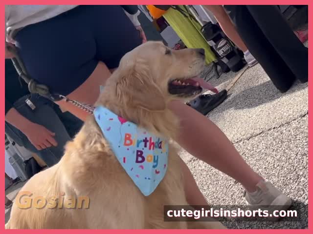 blue_span_hottie_w_dog_pretty_streetfest_gis
